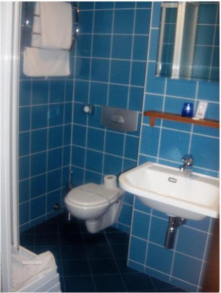 Hotel Panzio Sissi Gödöllő Zewnętrze zdjęcie